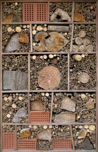 Durrell-Wildlife-Conservation-Trust-insect-hotel 34