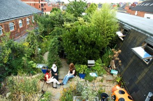 Een tuin op je dak!