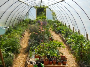 may-2011-permaculture-cottage-014