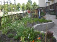 Moestuin De Groene Vaart, Amsterdam