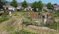 Tuindag op Eetbaar Heemskerk 27jun2015